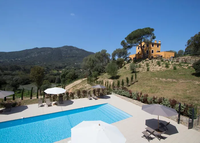 Le Domaine Saint Francois La Tour 1 Daire Ajaccio (Corsica)